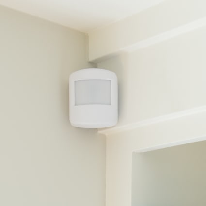 Charlotte motion sensor